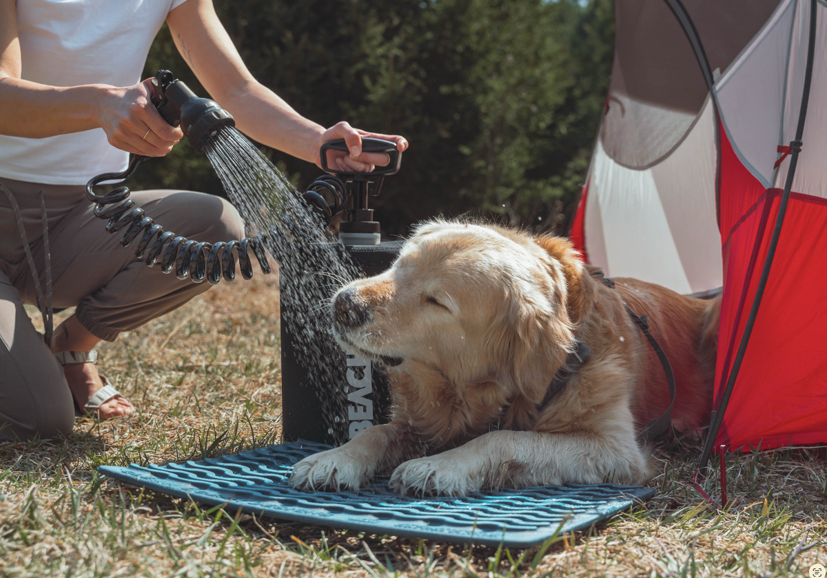 BeachBox portable dog wash rinsing a dog after the beach