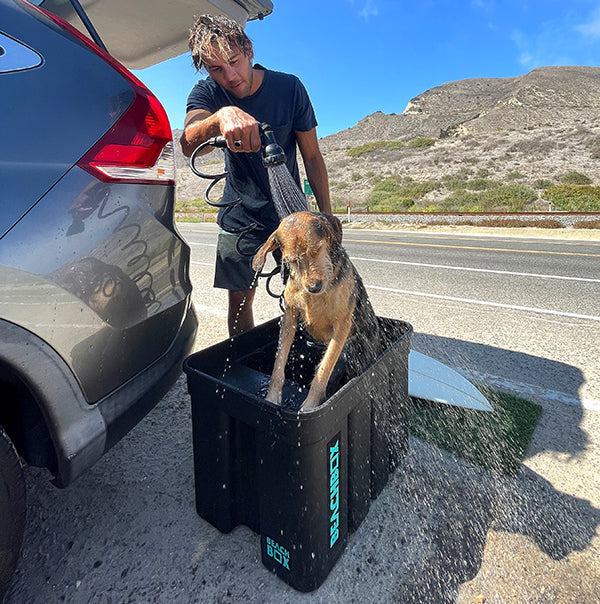 Dog being rinsed with a BeachBox portable shower after swimming